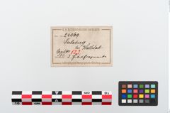 Etiketten zu Bronzebrillenfibel (NHMW-PRAE-024069)